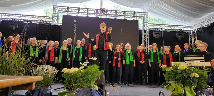 Joyful Harmony