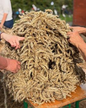 Erntekronebinden in Vreschen-Bokel